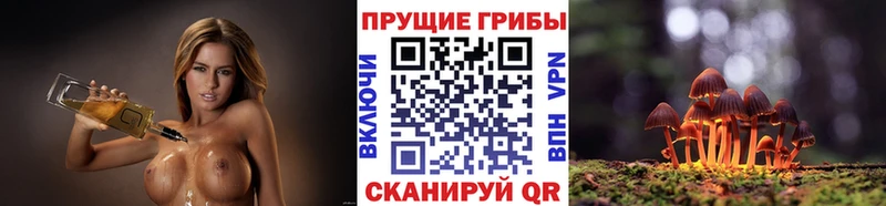 Галлюциногенные грибы Cubensis Нерюнгри