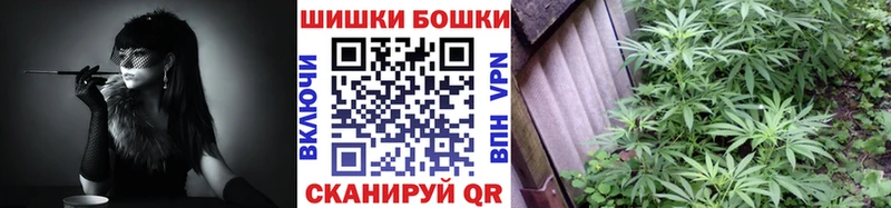 Бошки Шишки марихуана  магазин продажи   KRAKEN tor  Нерюнгри 